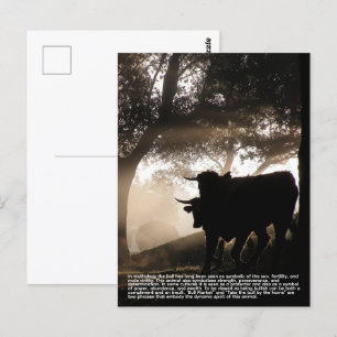 Bull Vykort
