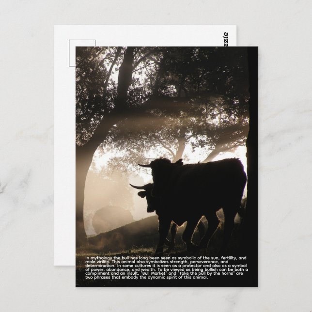 Bull Vykort (Fram/baksida)