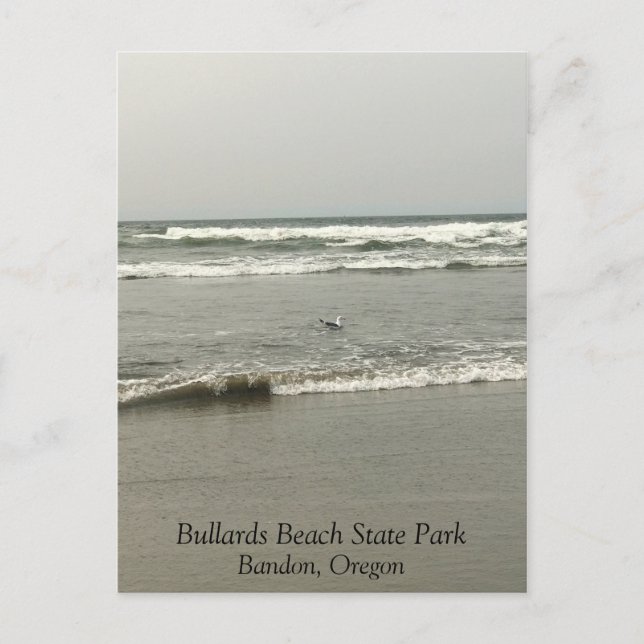 Bullards Beach State Park, Bandon, Oregon Vykort (Framsida)
