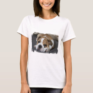 bulldog-26.jpg tröja