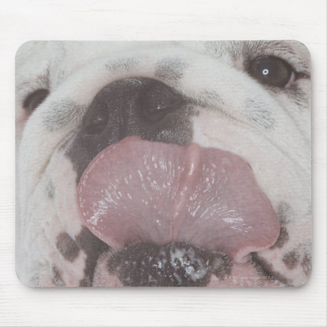 Bulldog 2 musmatta (Framsidan)