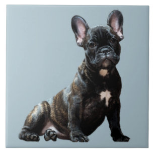 BULLDOG 3, Pet Kärlek, Best Friend KEEPSAKE Kakelplatta