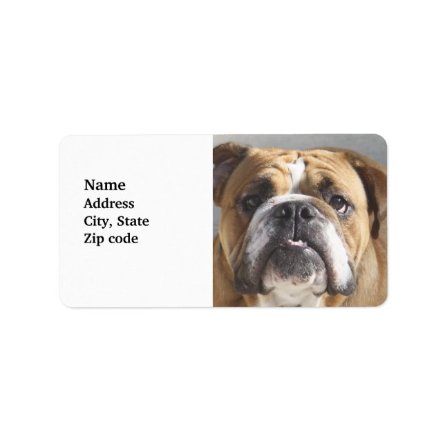 Bulldog Ansikte - English Bulldog, Brown Adressetikett (Framsidan)