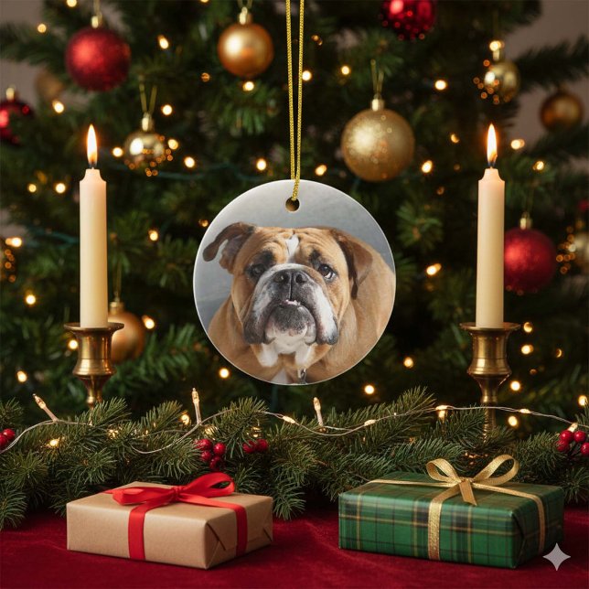 Bulldog Ansikte - English Bulldog, Brown Julgransprydnad Keramik (Skapare uppladdad)