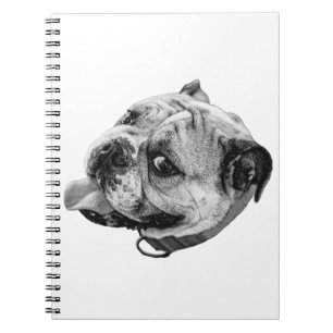 Bulldog Anteckningar Anteckningsbok