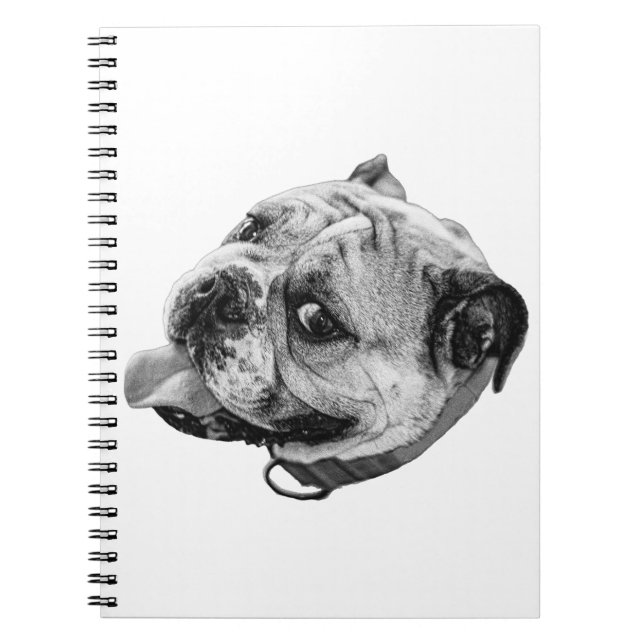 Bulldog Anteckningar Anteckningsbok (Framsidan)