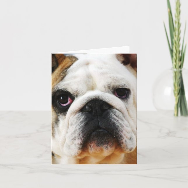 Bulldog-anteckningskort Kort (Framsida)