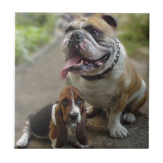 Bulldog & BabyBassett - Be aware of my best friend Kakelplatta