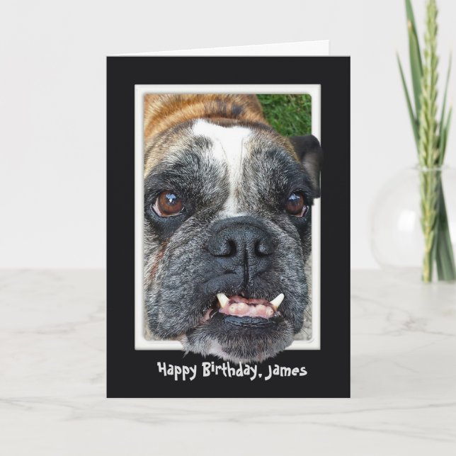 Bulldog Birthday Kort (Framsida)