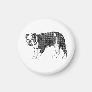 Bulldog Blick, Manga Punktmagnet Magnet