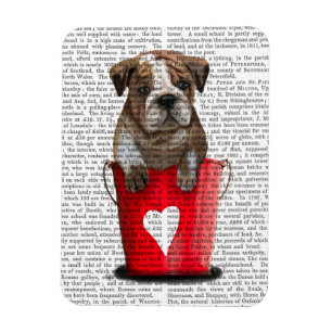 Bulldog Bucket i Kärlek Red Magnet