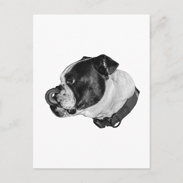 Bulldog Calm Mail Vykort (Framsida)