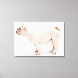 Bulldog Canvastryck