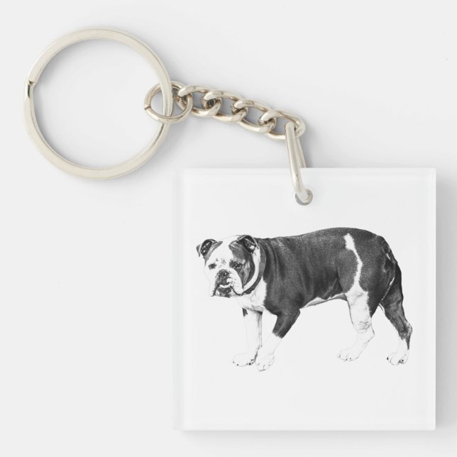 Bulldog Charm, Vardaglig Styrka (Framsidan)