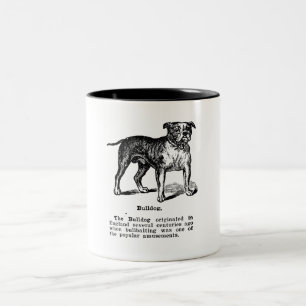 BULLDOG CLASSIC HUND AVELN Två-Tonad MUGG