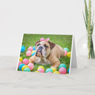 Bulldog Cute Påsk Animal Hund Hundeportrait Pet Helgkort