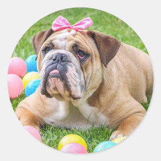Bulldog Cute Påsk Animal Hund Hundeportrait Pet Runt Klistermärke