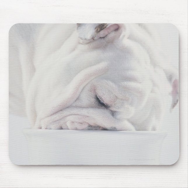Bulldog Eating Musmatta (Framsidan)