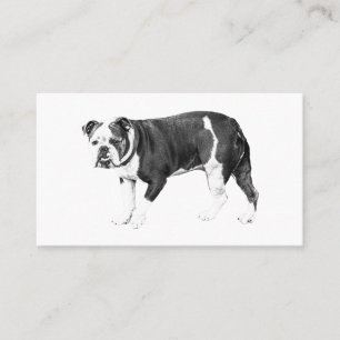 Bulldog Elegans, Äkta Kontakt Visitkort