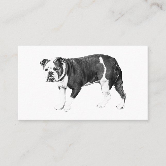 Bulldog Elegans, Äkta Kontakt Visitkort (Framsida)