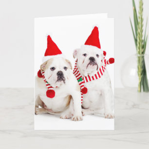 Bulldog Elves Helgkort