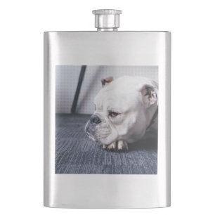 bulldog fickplunta
