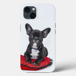 bulldog Fodral-Mate iphone case
