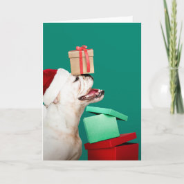 BULLDOG FOLDED CHRISTMAS GREETCard Kort