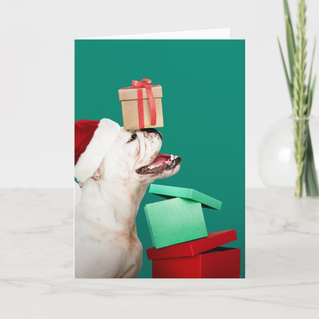 BULLDOG FOLDED CHRISTMAS GREETCard Kort (Framsida)