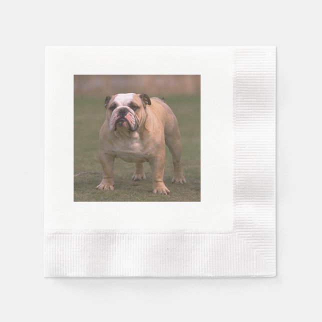 bulldog fullt 2.png pappersservett (Framsidan)