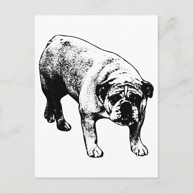 Bulldog genom posten vykort (Framsida)