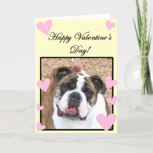 Bulldog Glad Alla hjärtans dag-hälsningskort Helgkort