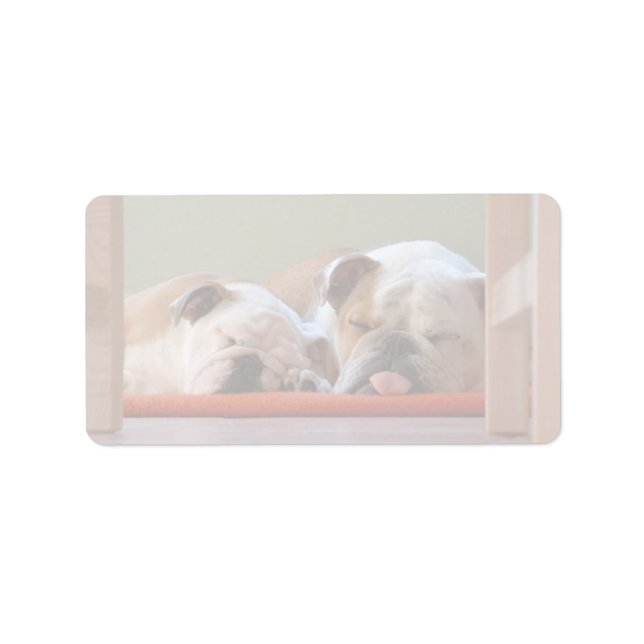 Bulldog Group Sovande Adressetikett (Framsidan)