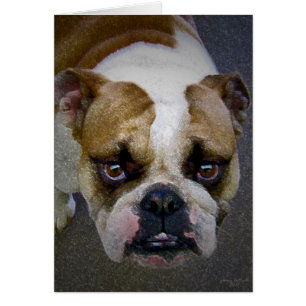 Bulldog Hälsningskort