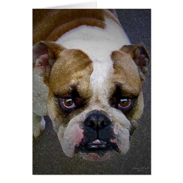 Bulldog Hälsningskort (Framsidan)