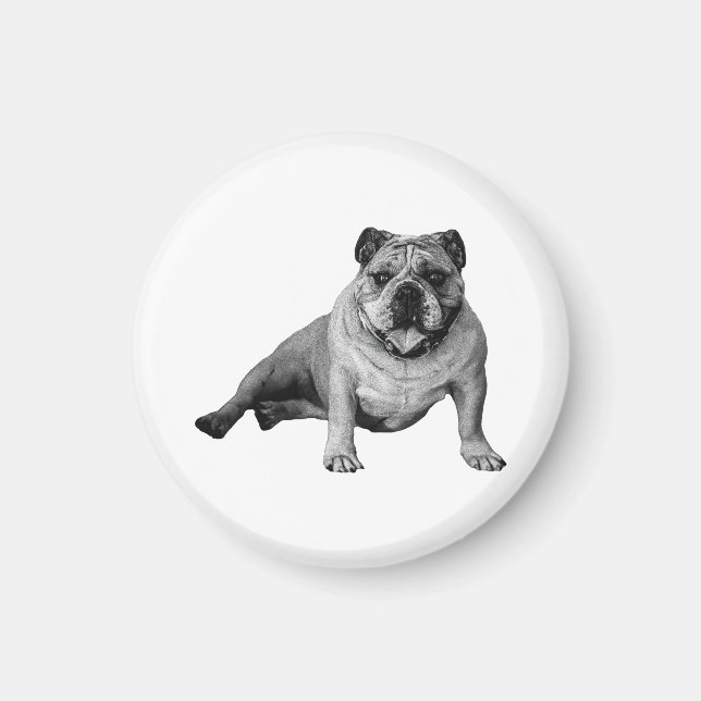 Bulldog Holiday Kylskåpsmagnet (Framsidan)