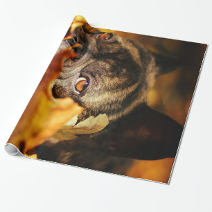 Bulldog Hund Cute English Bulldog Älskare Gift Presentpapper