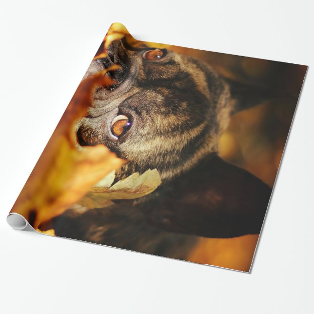 Bulldog Hund Cute English Bulldog Älskare Gift Presentpapper (Utrullad)