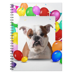 Bulldog Hund med färgglada ballonger Födelsedagste Anteckningsbok Med Spiral