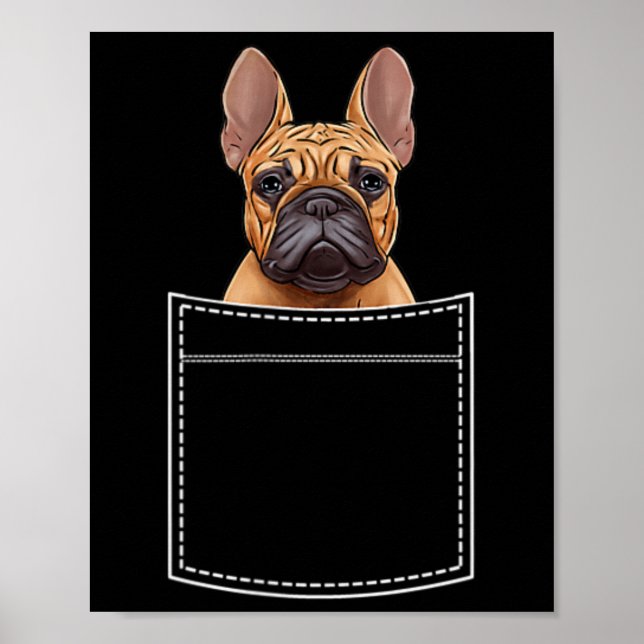 Bulldog I Bröstficka Frenchie Ficka  Poster (Framsidan)