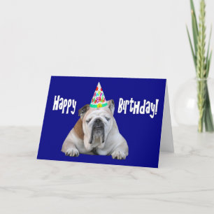 Bulldog i ett födelsedagskort kort