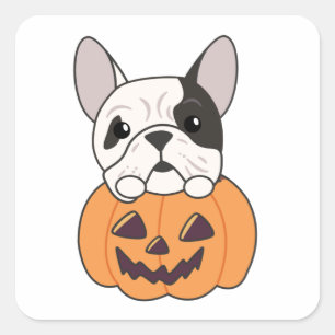 Bulldog in Pumpkin Cute Hundar Happy halloween Squ Fyrkantigt Klistermärke
