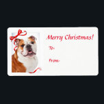 Bulldog jul Gift Stickers Fraktsedel<br><div class="desc">De här berömvärda engelska Bulldog-julklapparna är en perfekt match för vår Bulldog-julomslutning papper.</div>
