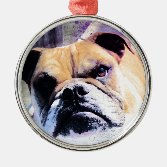 Bulldog Julgransprydnad Metall (Framsidan)