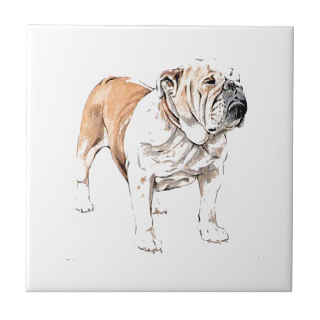 Bulldog Kakelplatta (Framsidan)