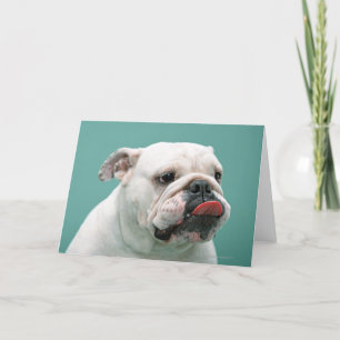 Bulldog Kort
