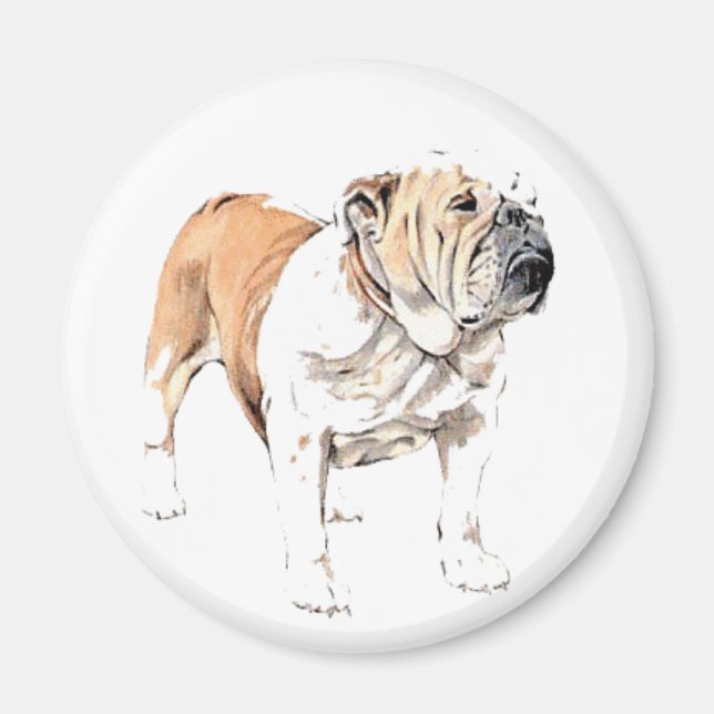 Bulldog magnet (Framsidan)
