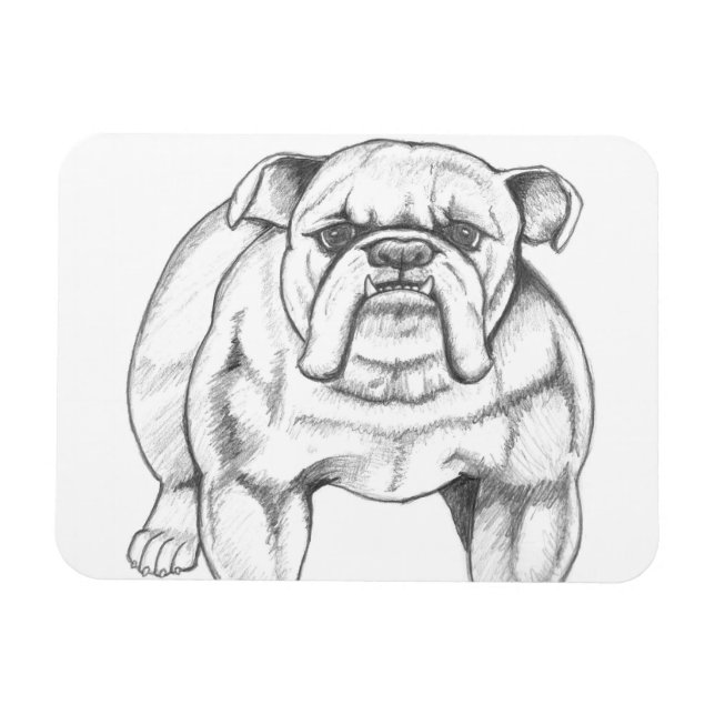 Bulldog magnet (Horisontell)