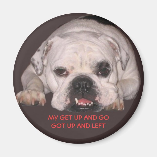 Bulldog Magnet (Framsidan)