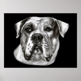 Bulldog-målning Poster